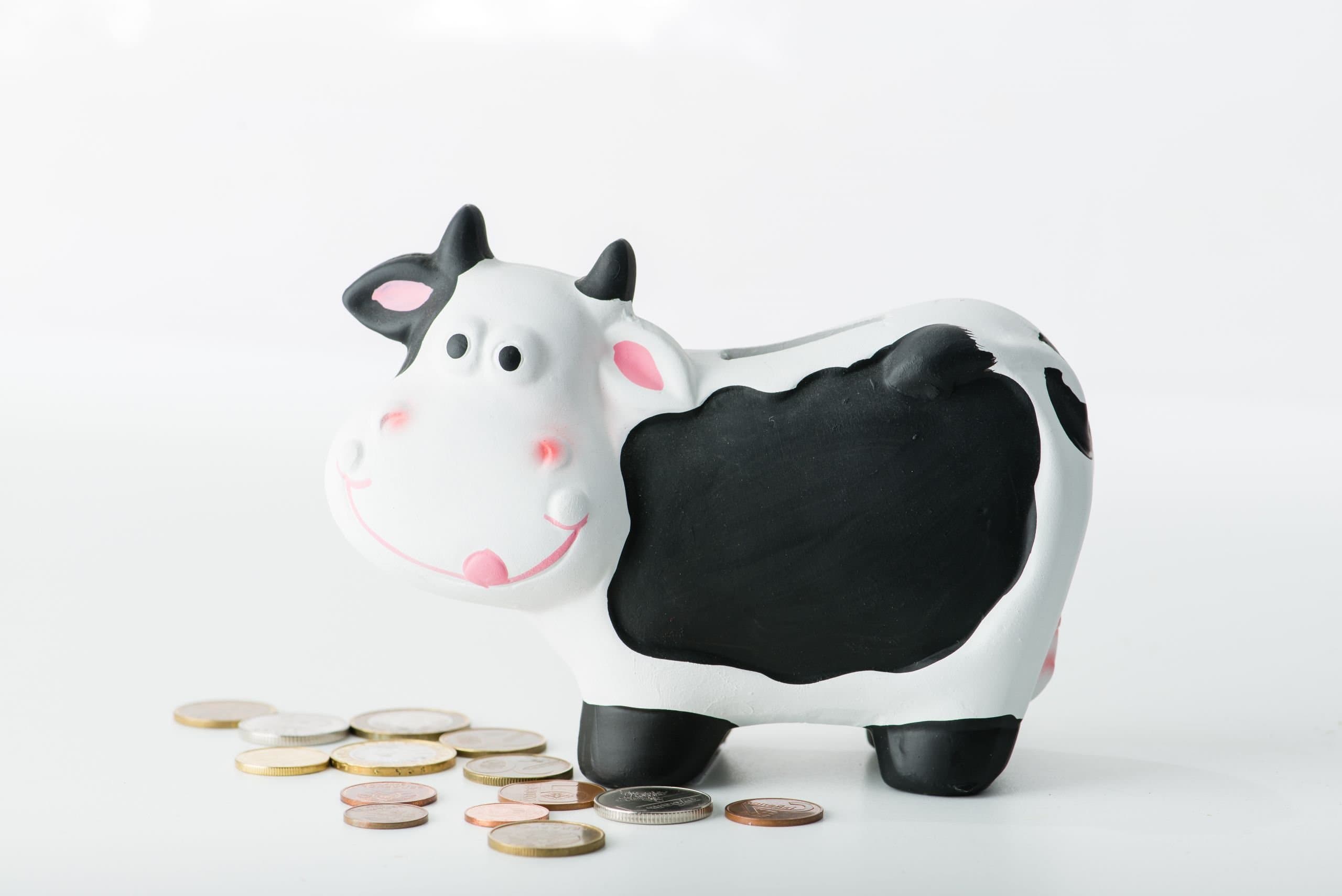 Students Earn Scholarships Through Dairy’s Future Leaders Contest