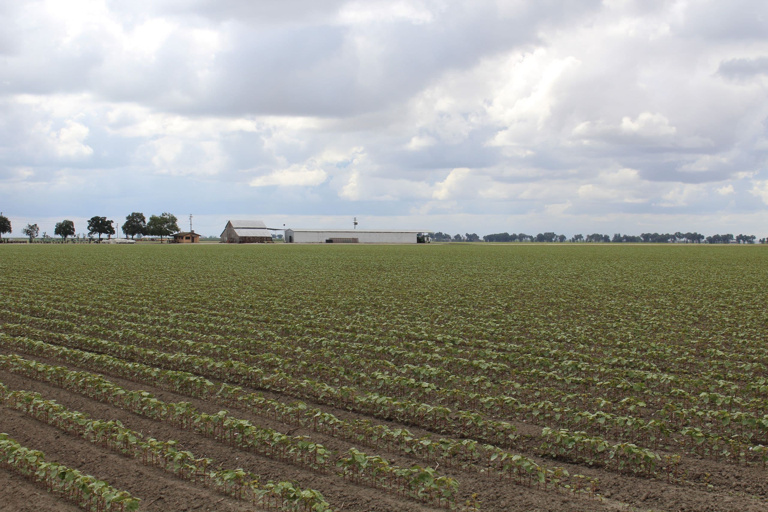 First-Ever National Report on Non-Operator Landowners
