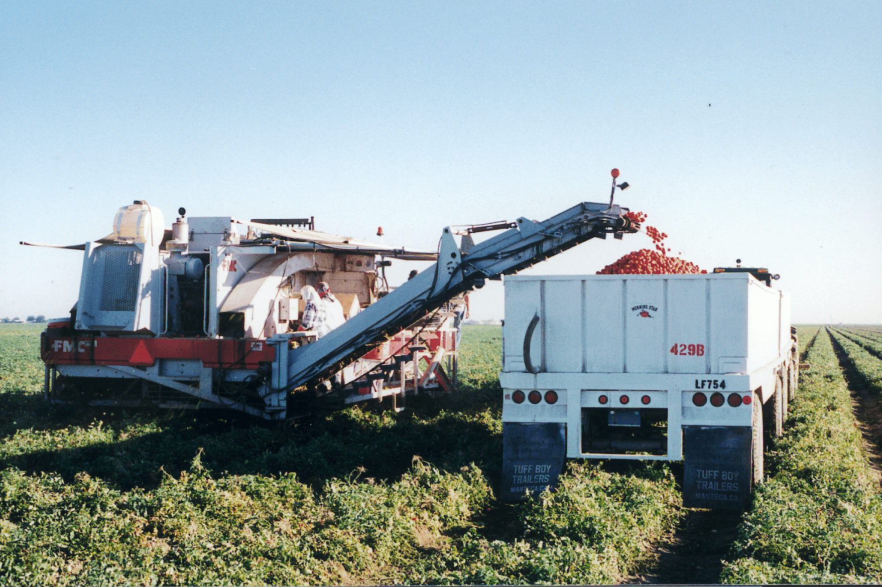 12 Million Ton Processing Tomato Crop Anticipated in California
