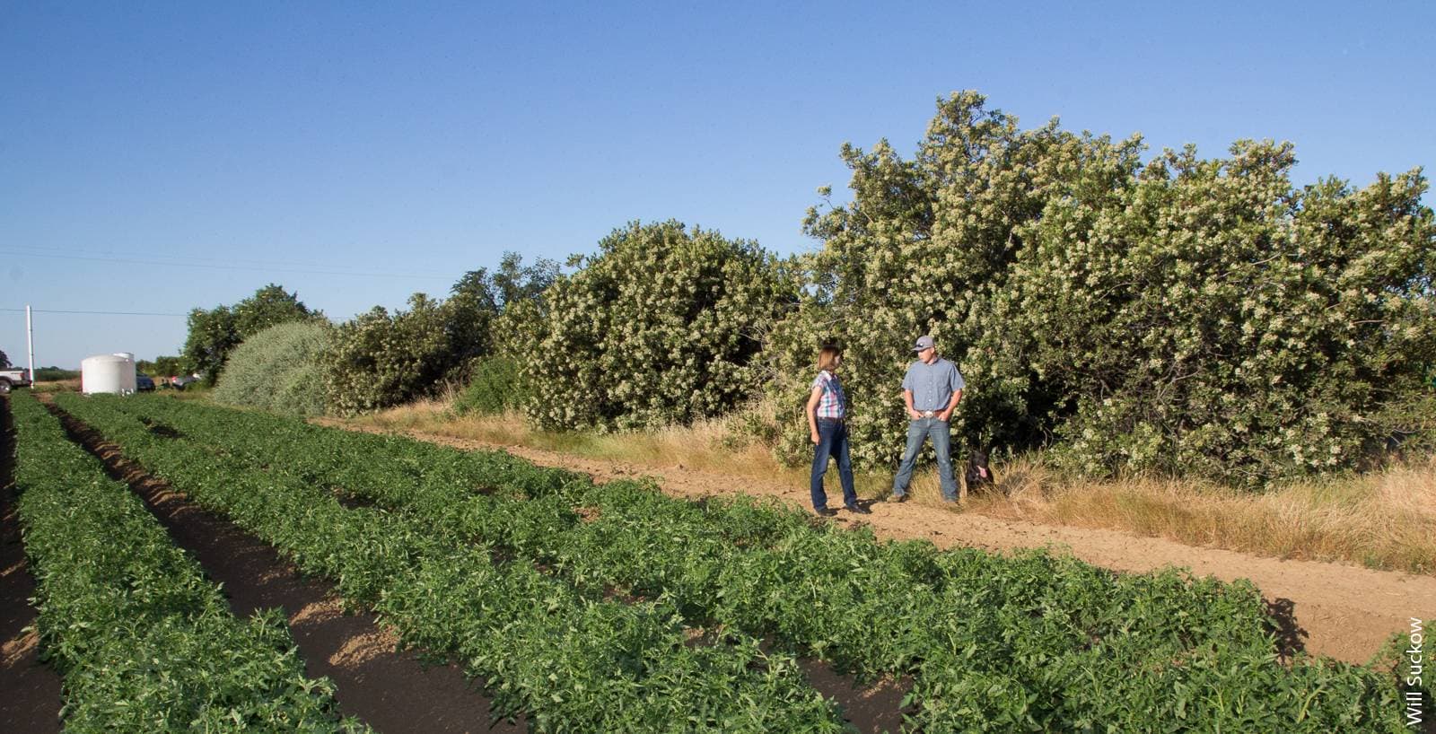 When to Incorporate Wild Nature & the Bigger Picture of Healthy People/Ecosystems
