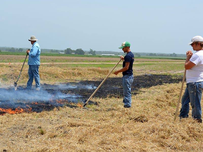Crop Residue Decisions Affect Soil Life
