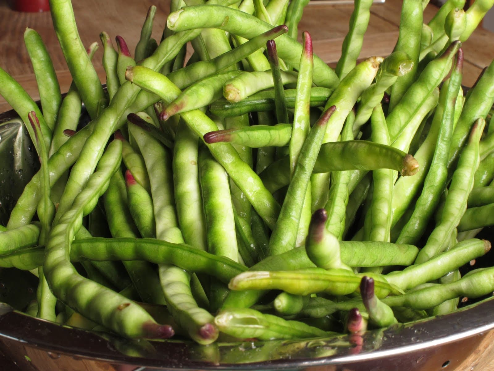 Why Aren’t my Blackeye Bean Pods Filling Out?