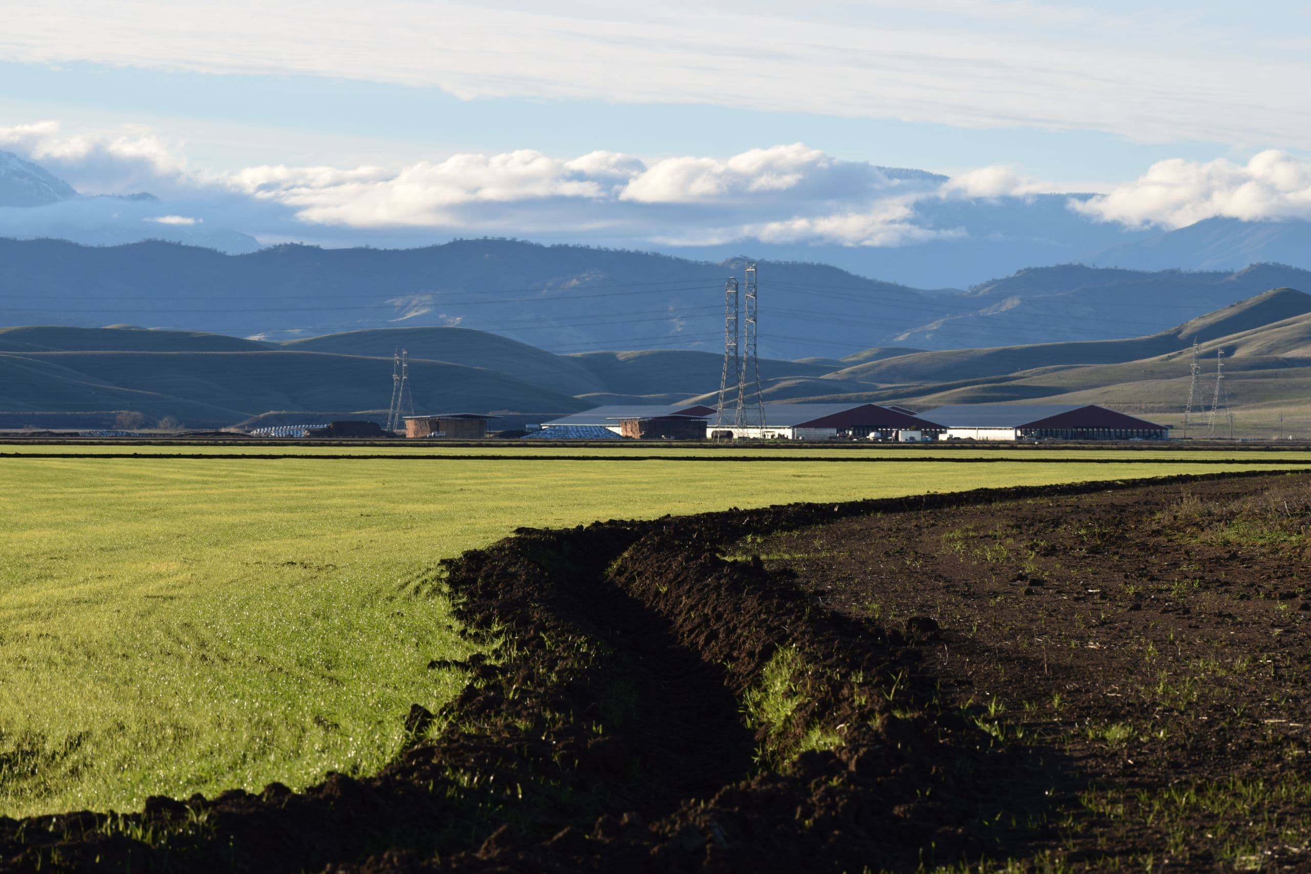 USDA Announces Changes to Emergency Haying & Grazing Provisions