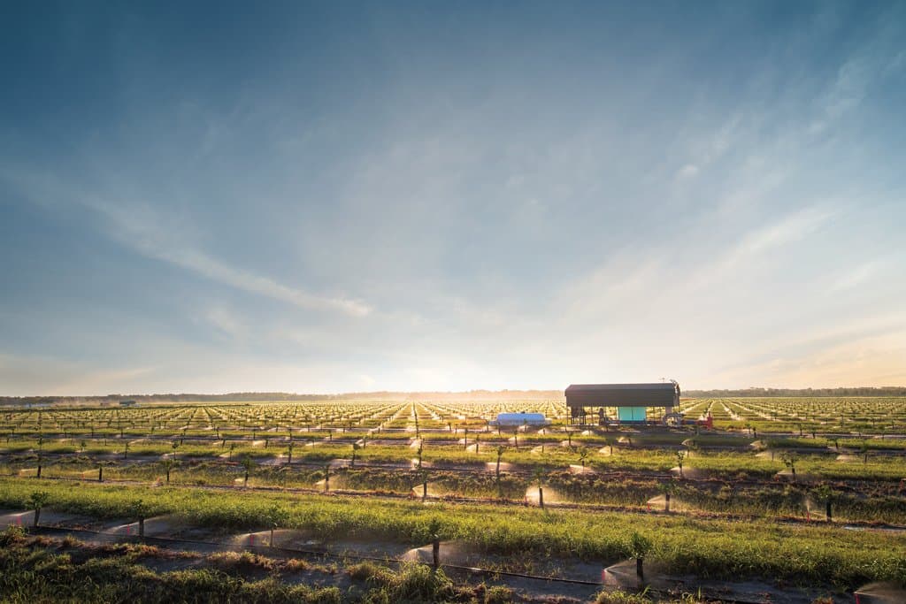 Rural Energy for America Program Grant