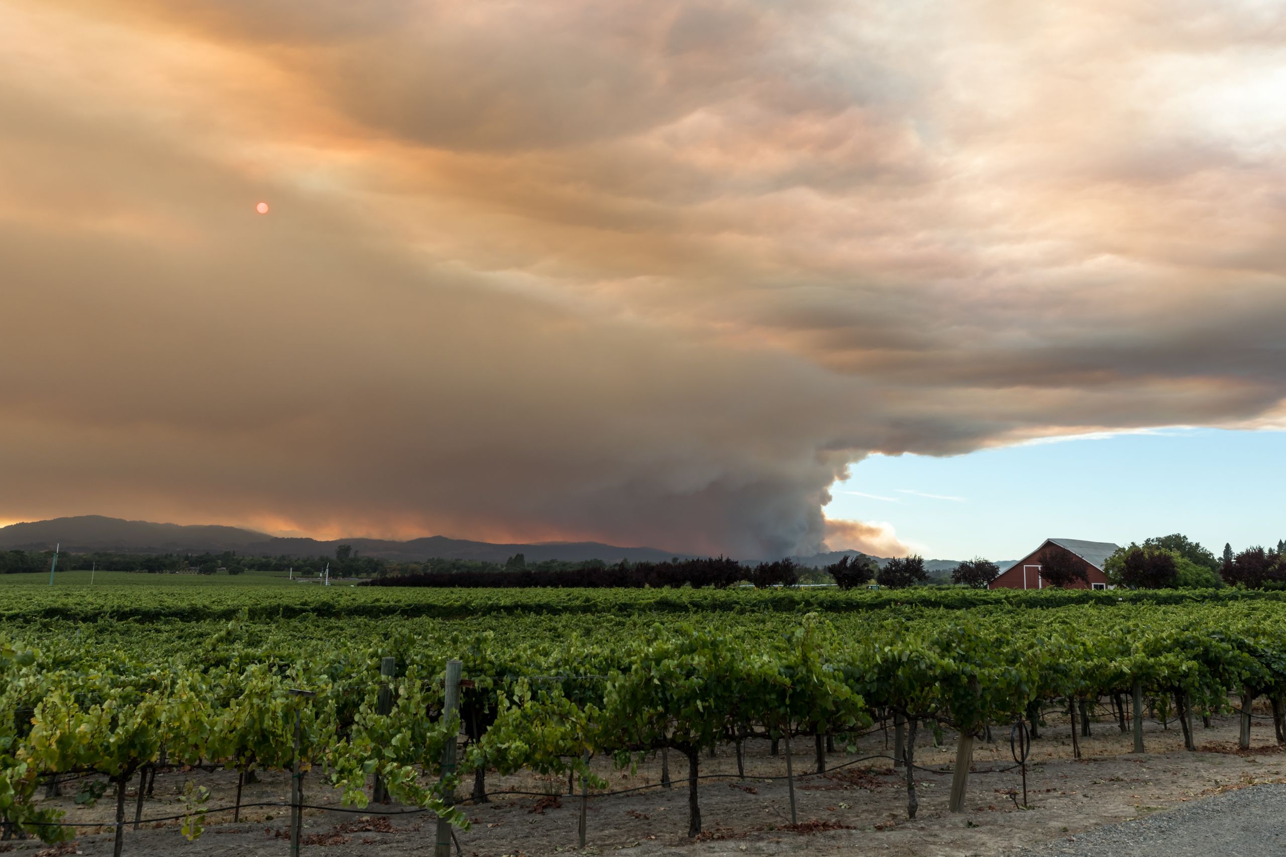 CAWG Addresses Grape Grower & Winemaker Smoke Exposure Challenges