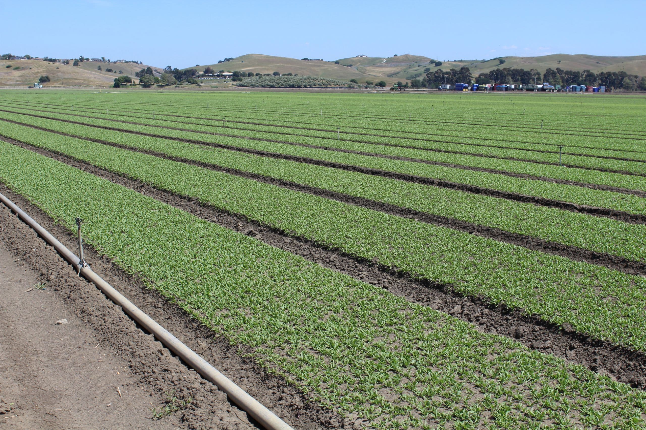 Survey Asks Californians About Views on Agriculture