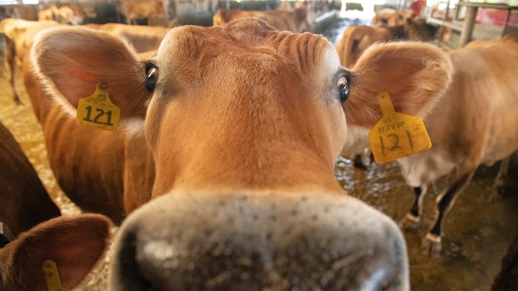 Consumers’ Approval of Farming & Agriculture Tops Gallup List