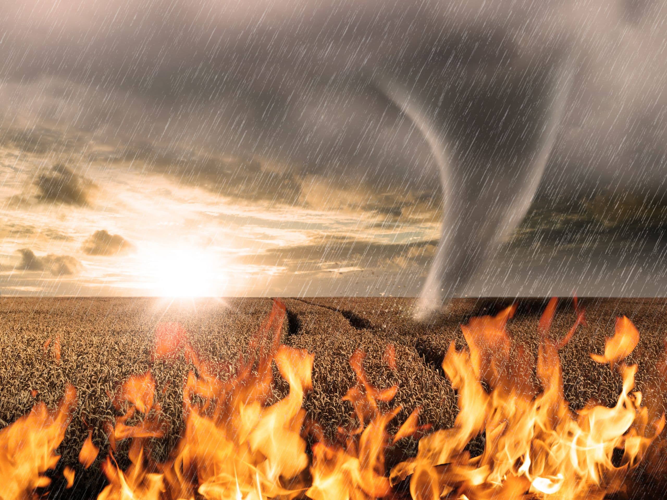 USDA Reminds Producers of Disaster Assistance Application Deadline