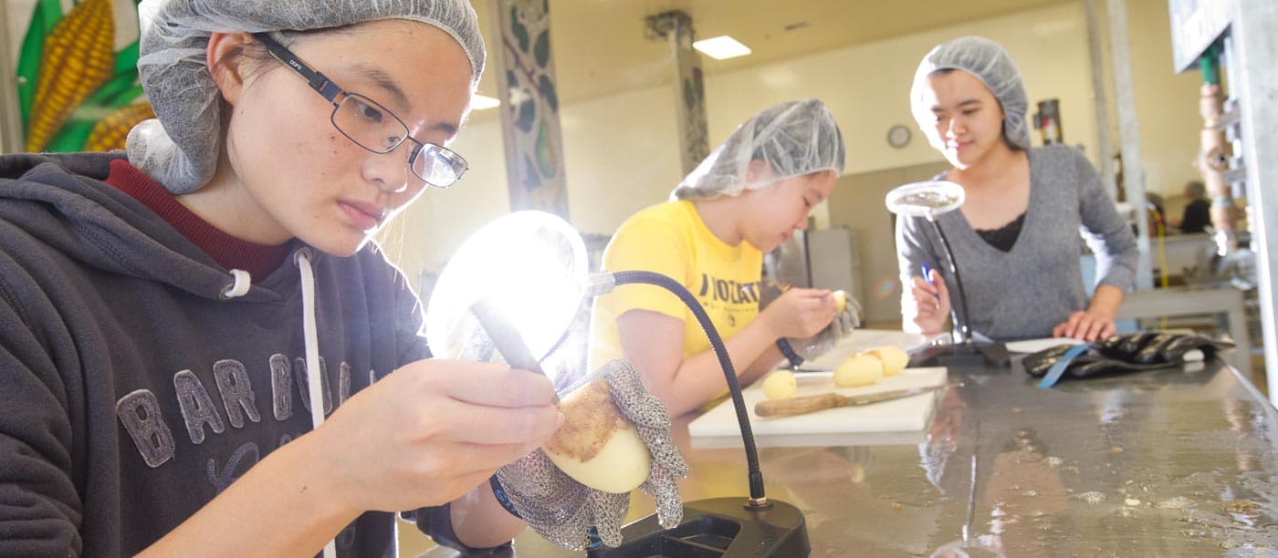 UC Davis Wants Samples of Your Fermented Foods for Science