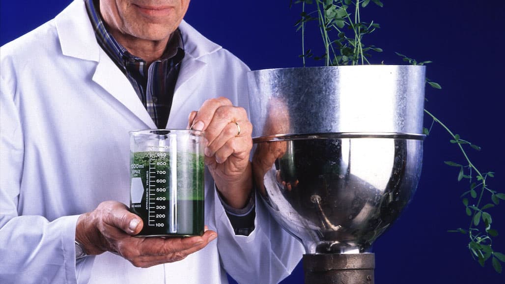 Researchers are Juicing Alfalfa as a Next-Generation Aquafeed