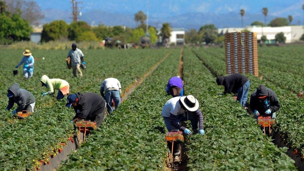 Quarantined Housing Program for Farm Workers in Imperial/Yuma Growing Regions