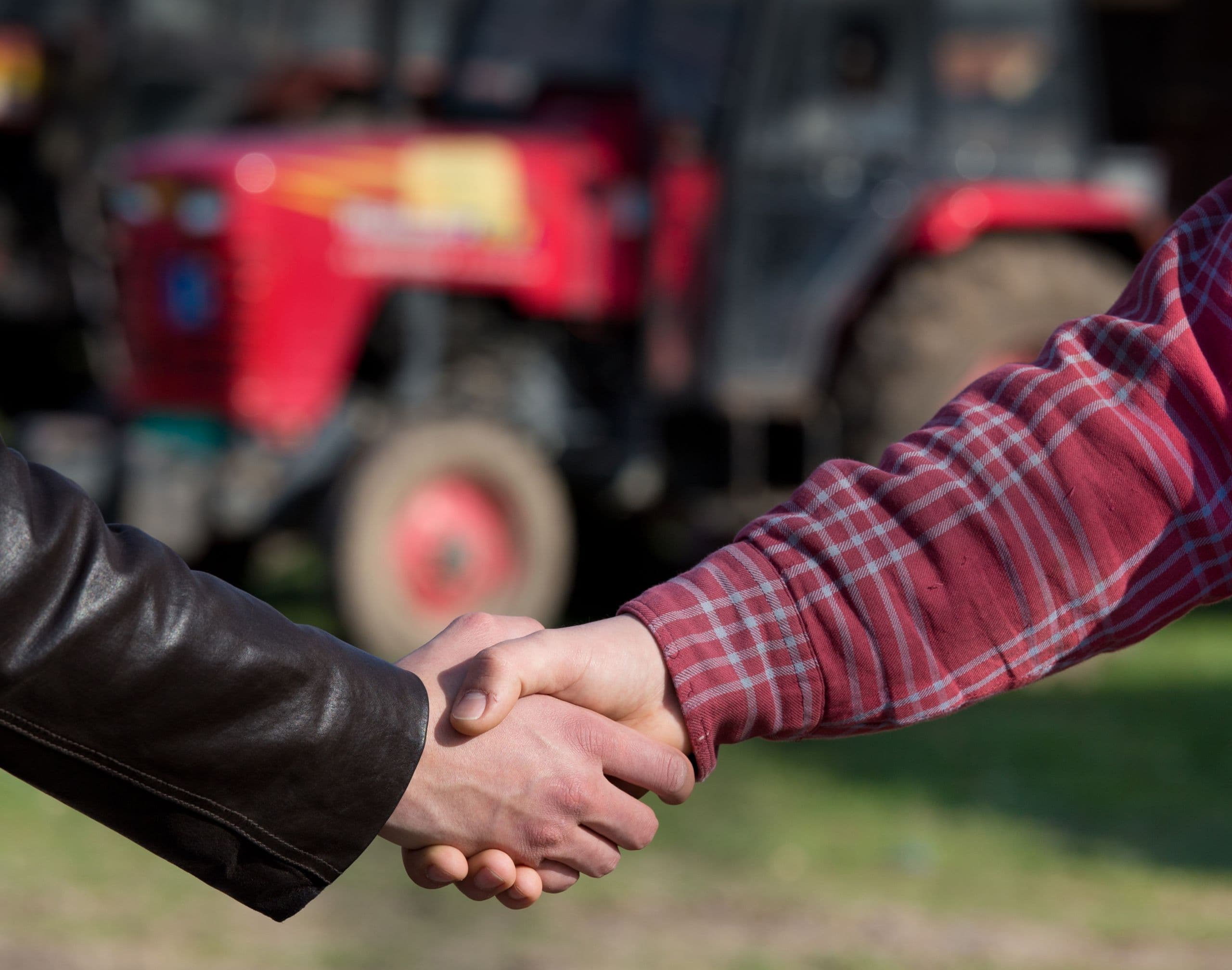 Organic Produce Members Team Up with New National Produce Council