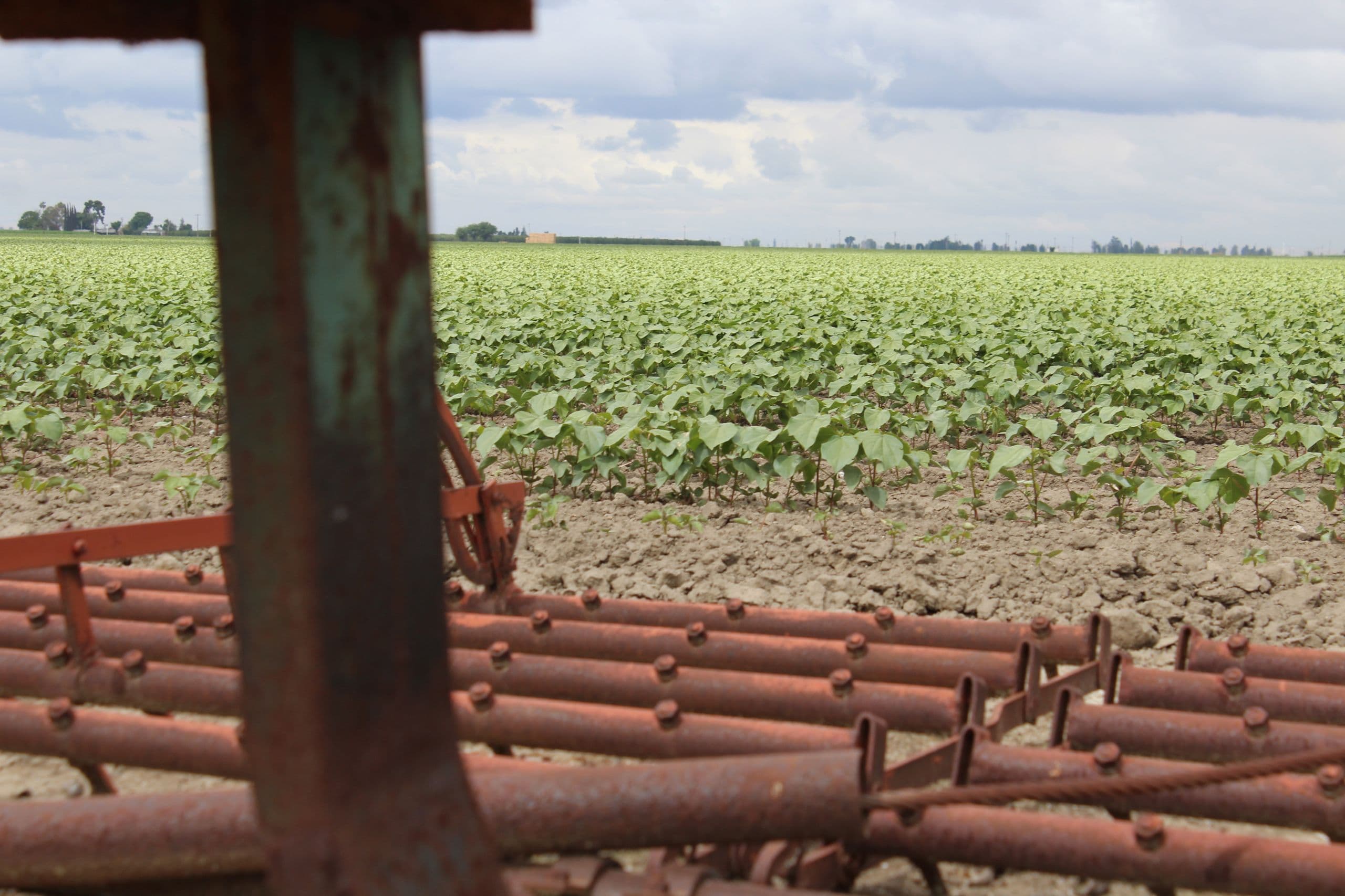 State Purchase of Agricultural Conservation Easement Programs Permanently Protect 3.1 Million Acres as of January 2020