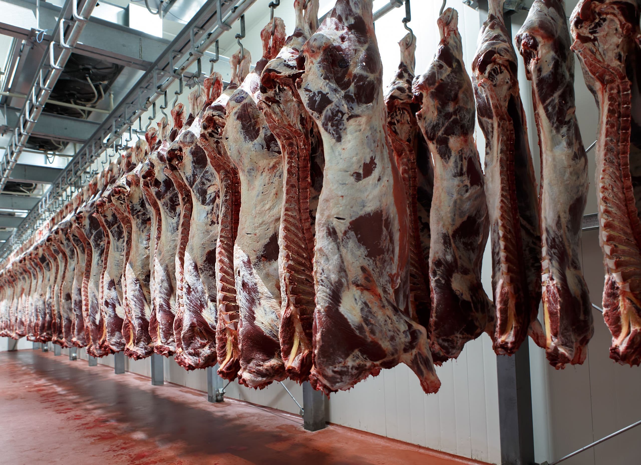 UFCW, Meat Institute Call on All 50 States to Prioritize Vaccination of Frontline Meat & Poultry Workers