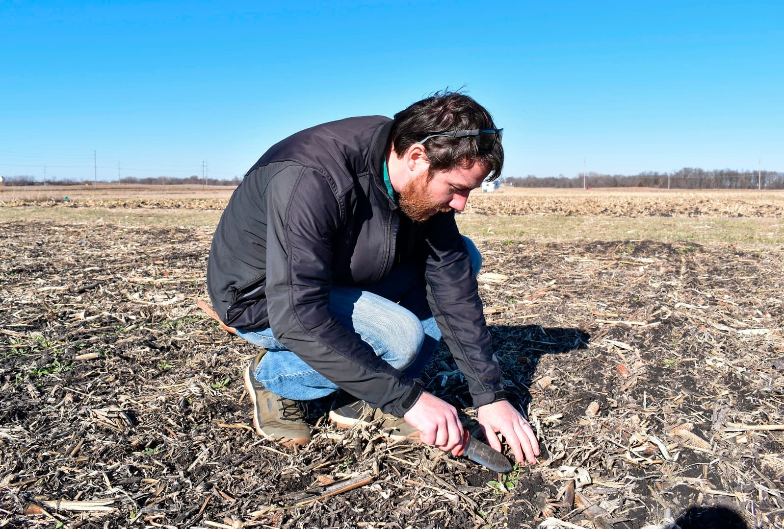 ARS Research Prepares Farm Soil During Farming’s ‘Off-Season’