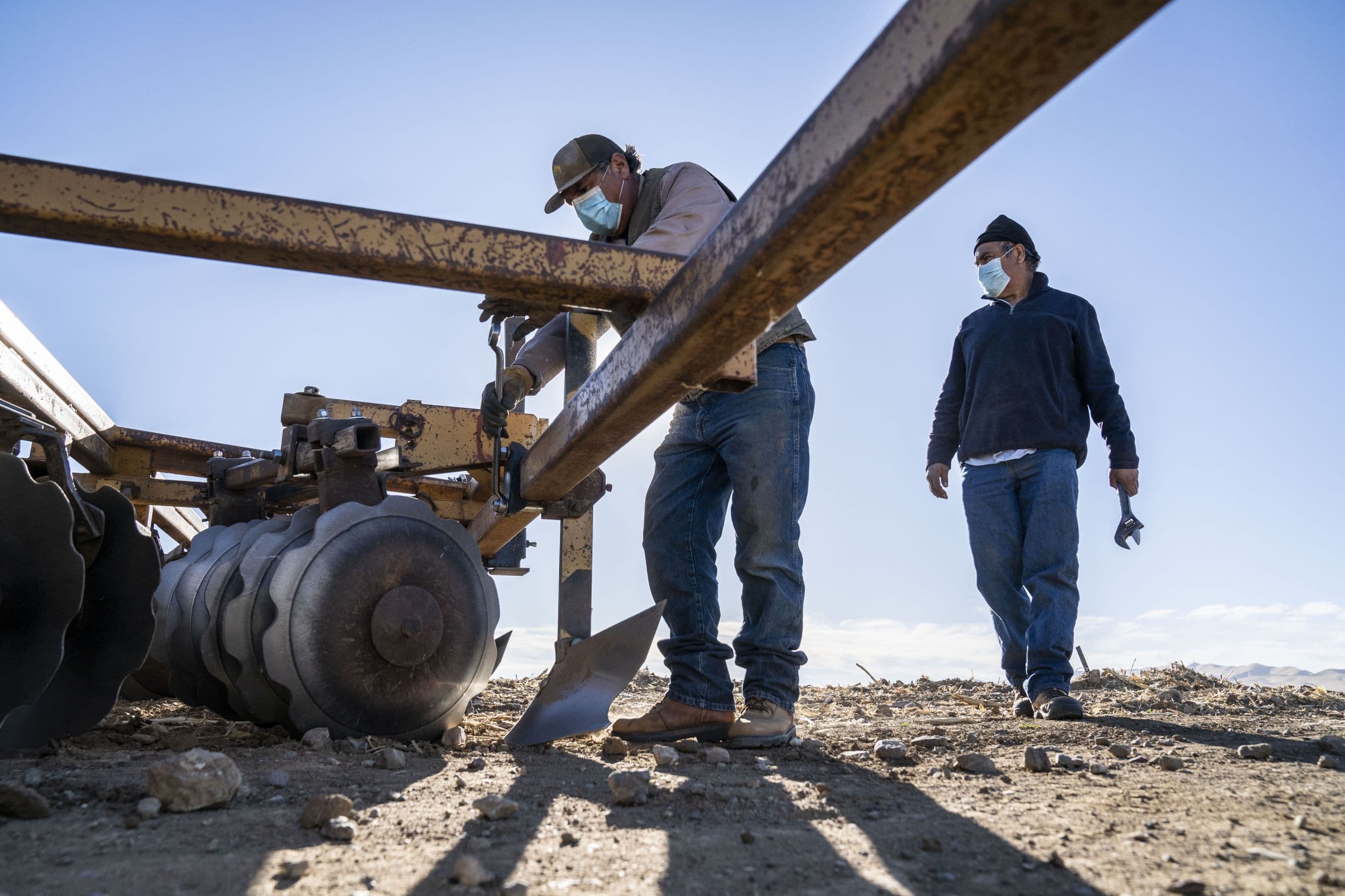 UC Davis Launches $3 Million Project to Improve Farmworker COVID Safety