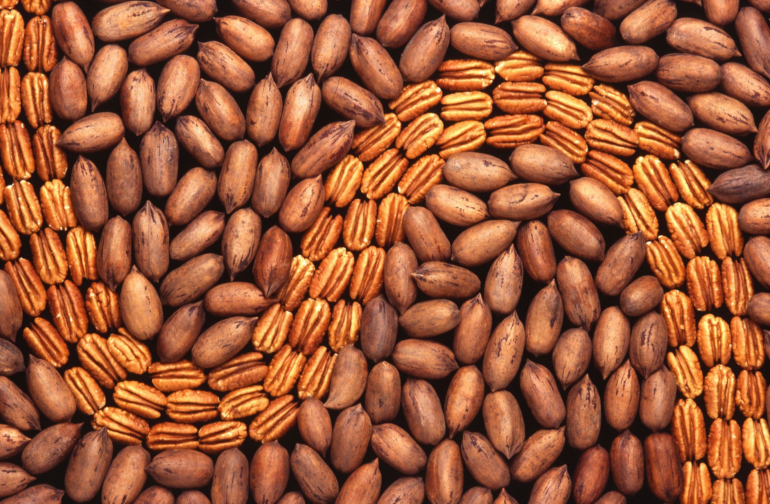 USDA Seeks Nominees for American  Pecan Promotion Board