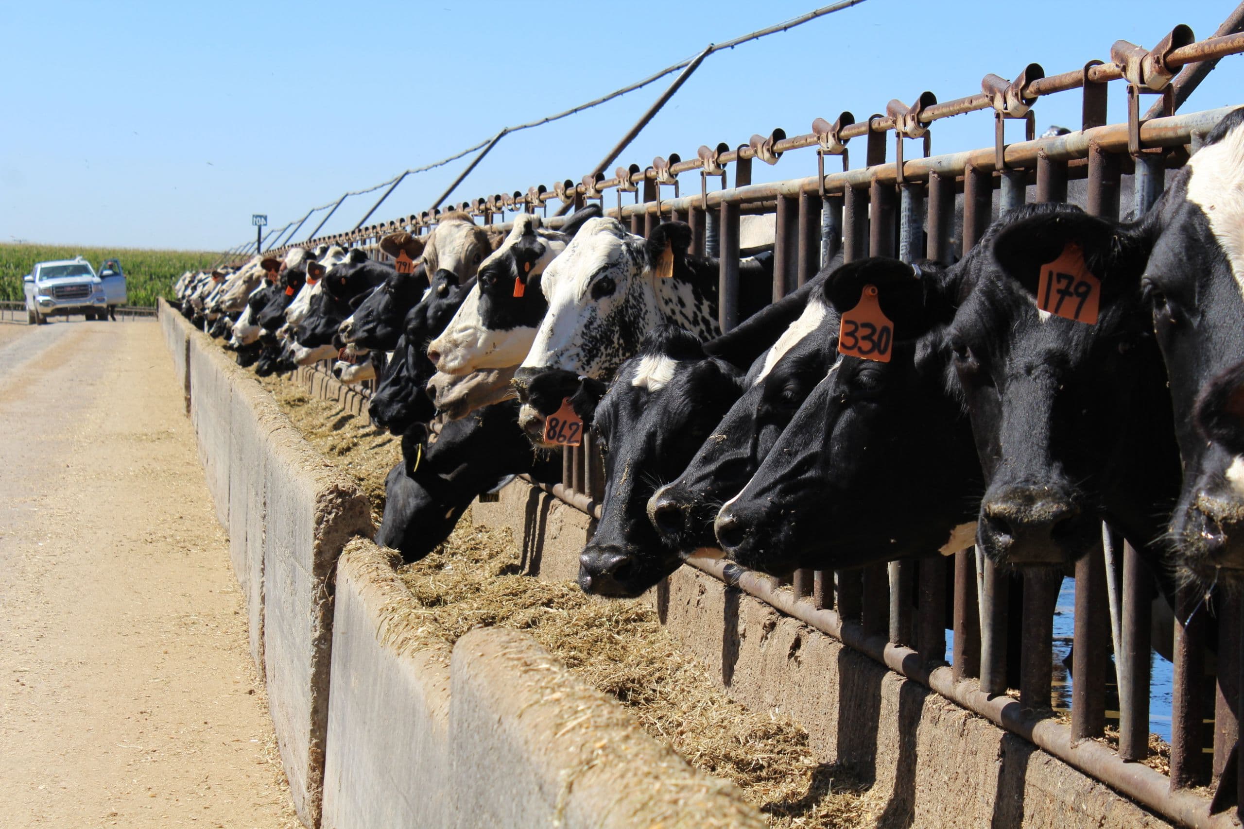 CA and Denmark Sign MOU on Climate Smart Dairy Collaboration