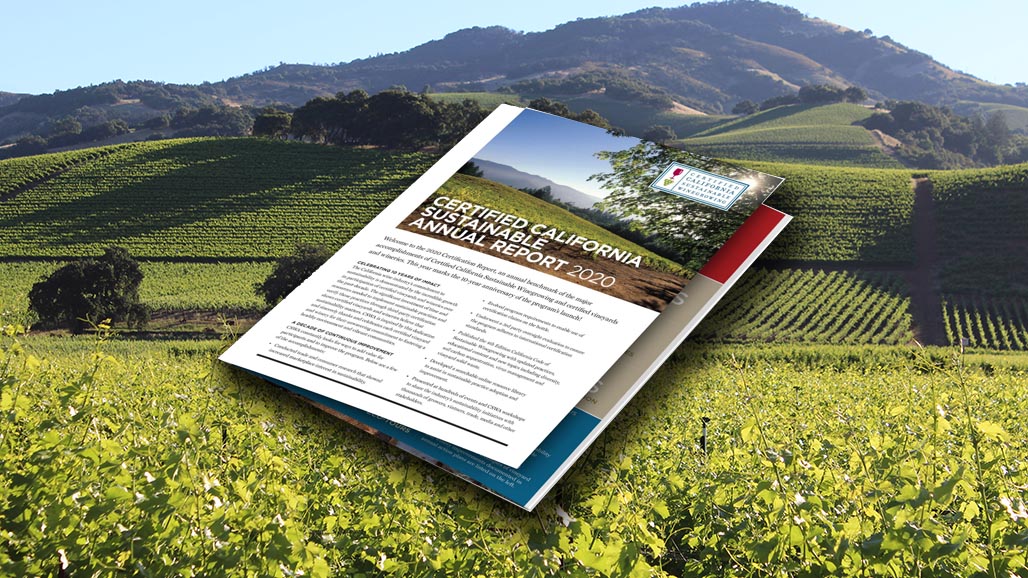 CA Sustainable Winegrowing Alliance Certification Report Shows Continued Growth