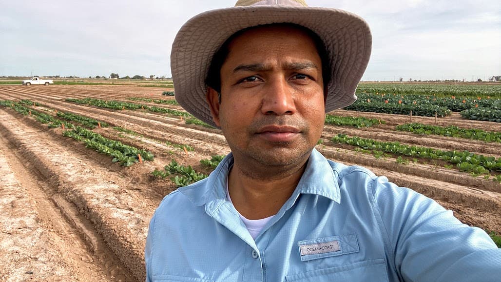New UCCE IPM advisor in Imperial County