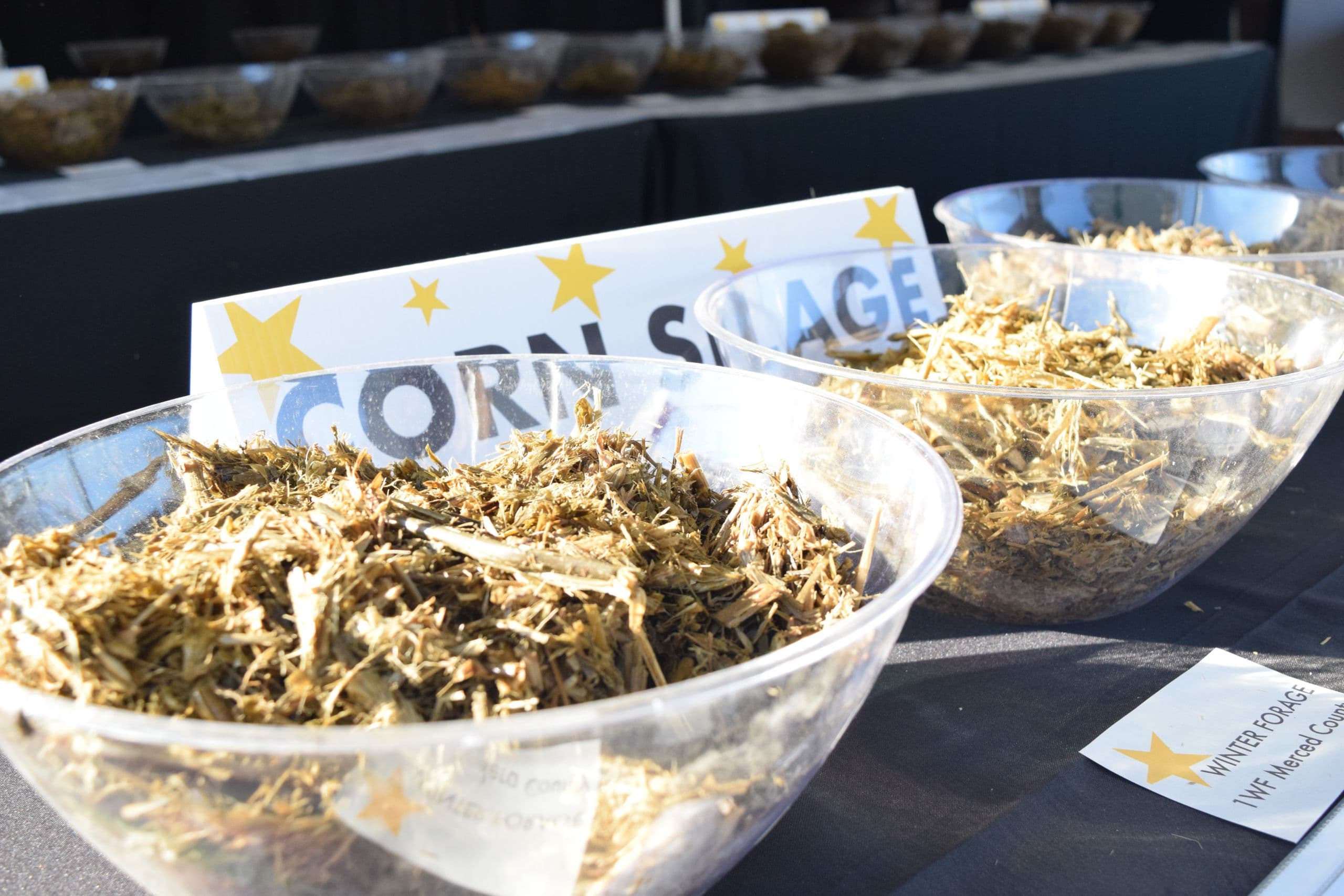 California Dairy Producers Recognized at Sealpro® Forage Contest