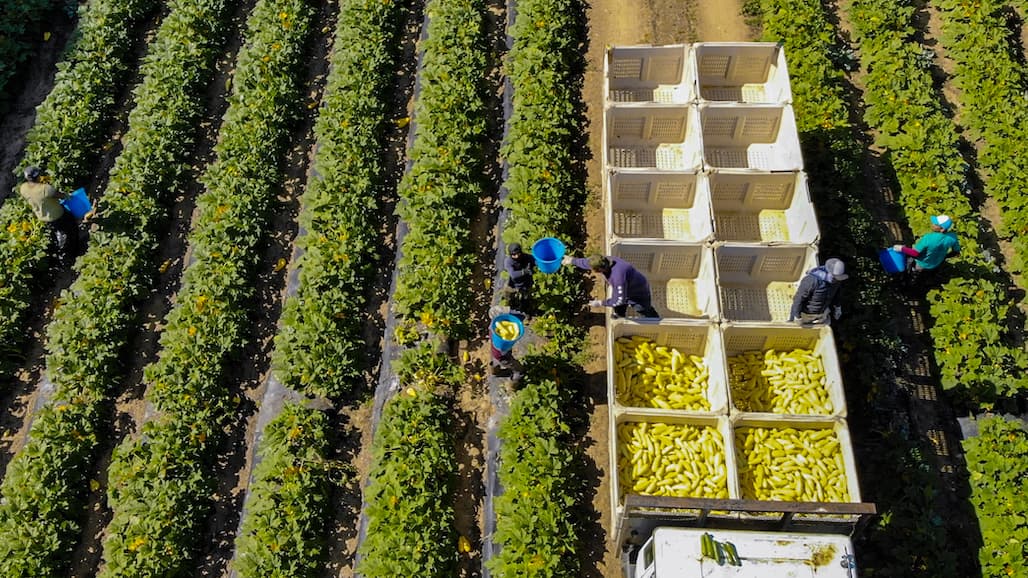 USDA Seeks Comments on Food System Supply Chains