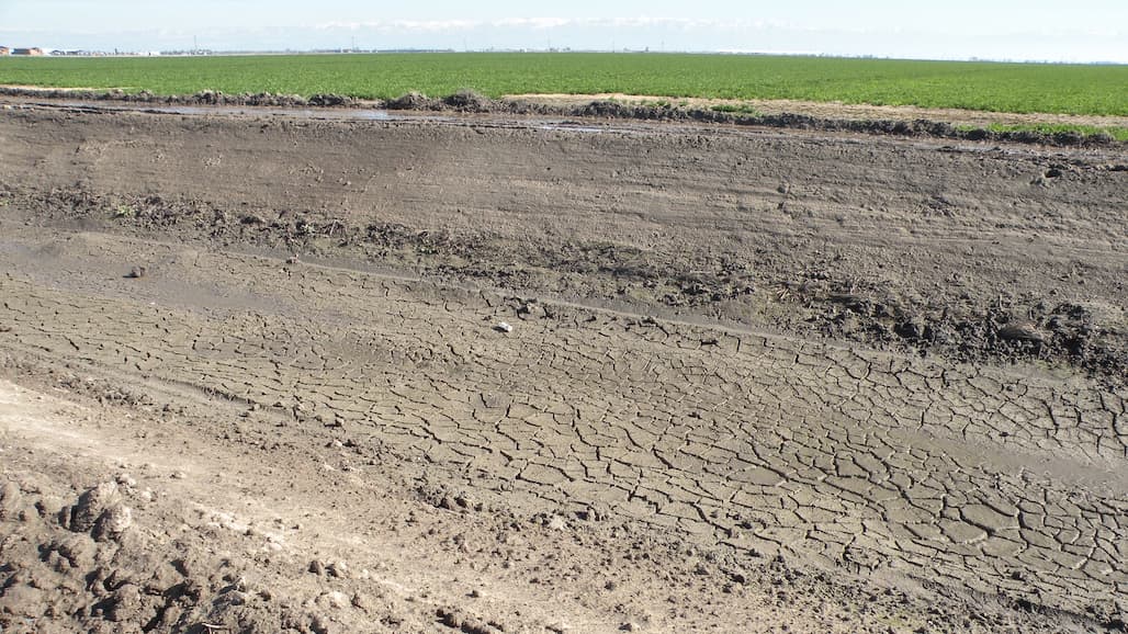Anticipating and Addressing the Impacts of the Drought