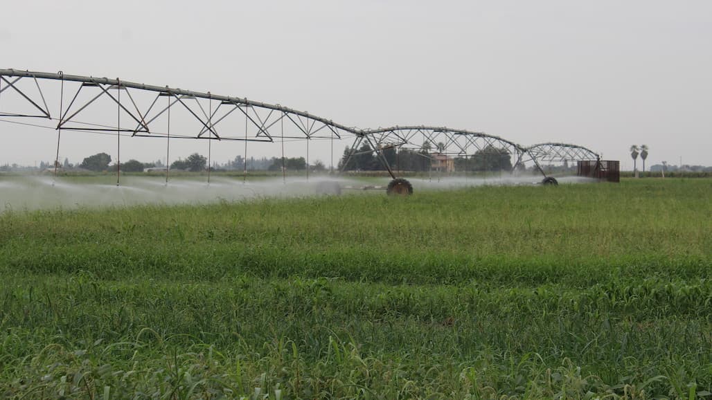 NIFA Invests $14.5M in Economics, Markets, Trade,  Environmental and Natural Resources