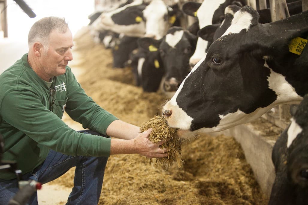 Soil Health Institute Selected as Soil Science Research Partner for Dairy Net Zero Initiative