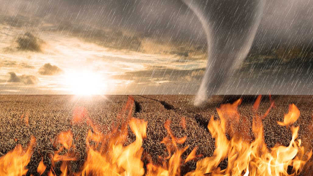 USDA to Begin Payments for Farmers Impacted by 2018 & 2019 Natural Disasters