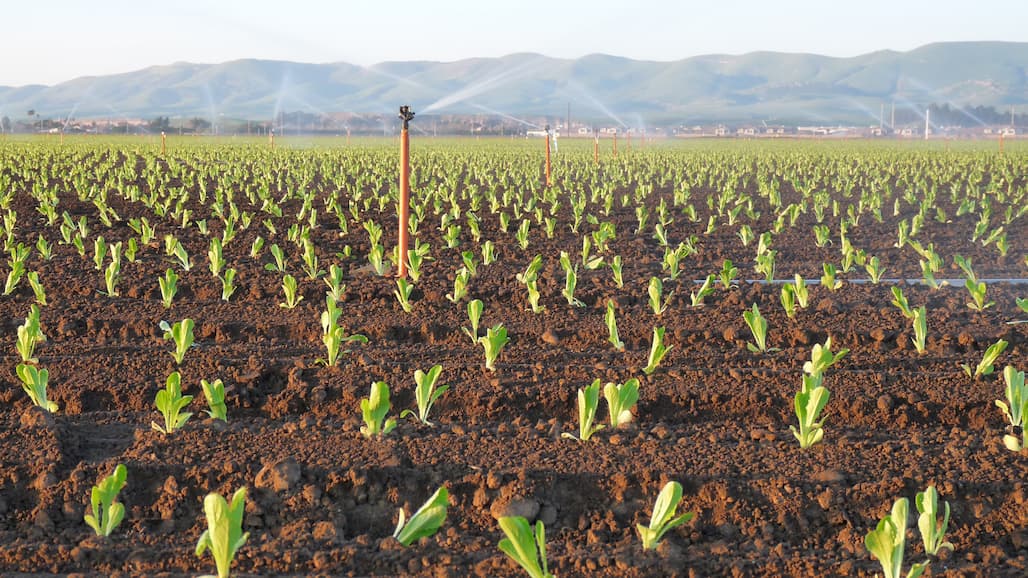 The Impact of Water Regulation on Ag Lending