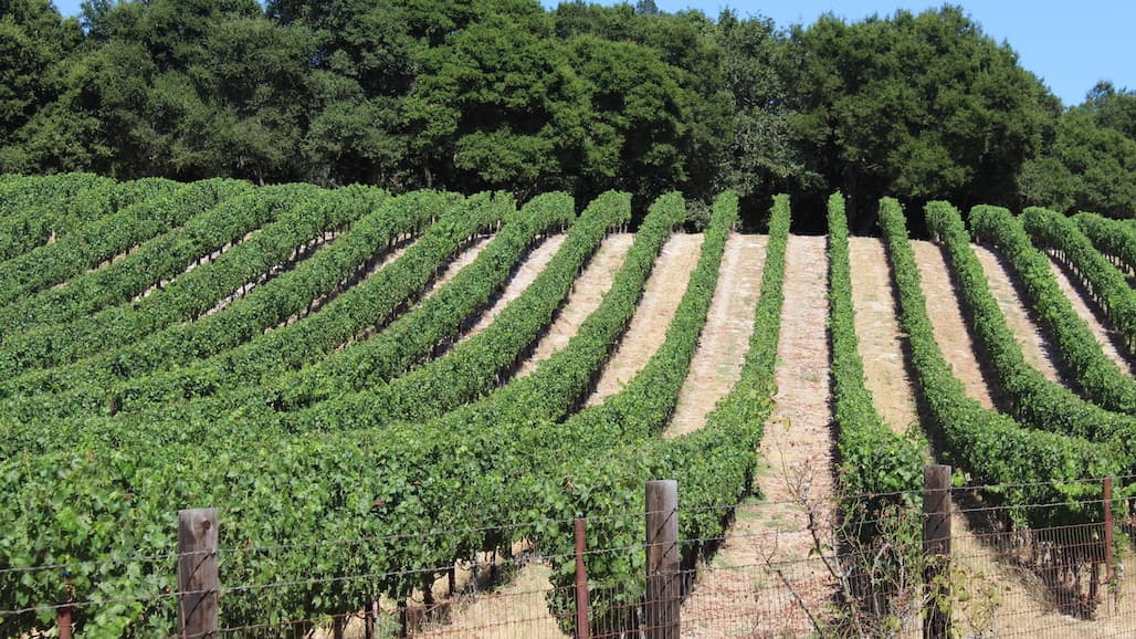 USDA Reminds Producers to File Crop Acreage Reports