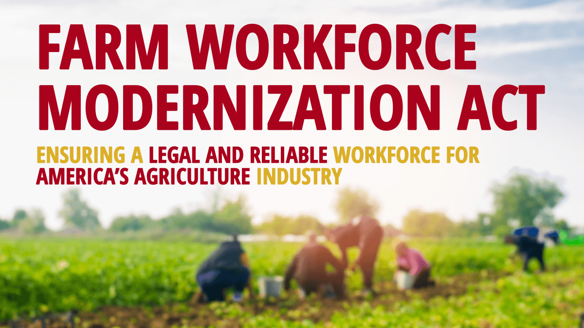 Urgent Amendments Needed to the Farm Workforce Modernization Act of 2021 and the Passage of Dreamers Legislation