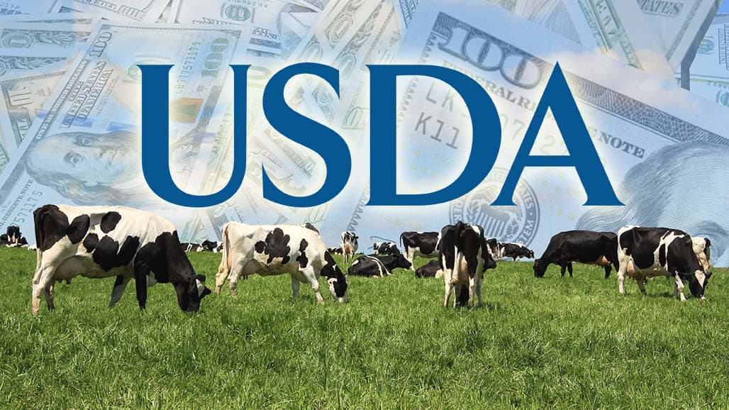 NIFA Invests $14M in Animal Health & Disease Research