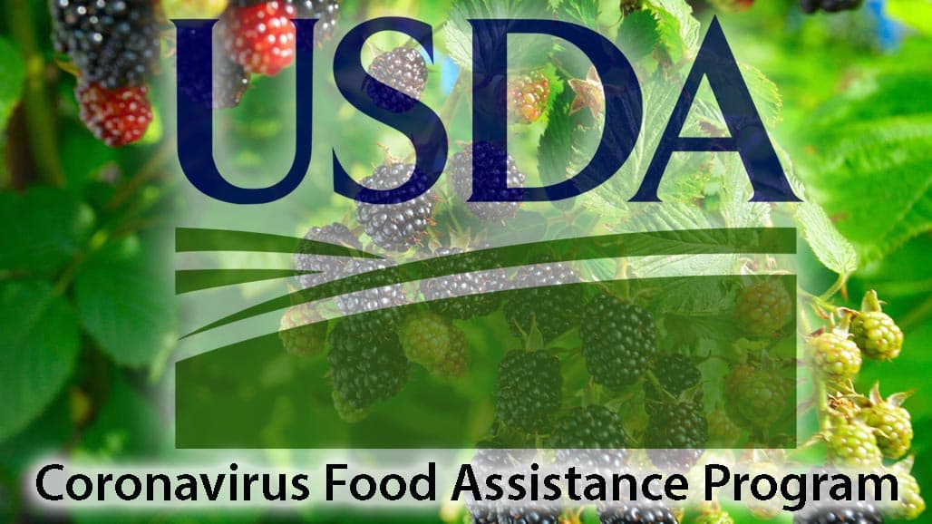 USDA Updates CFAP2 for Livestock, Poultry Contract Producers and Specialty Crop Growers