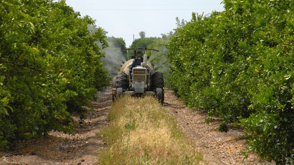 Growers Urged to Participate in Kern County Coordinated Treatment