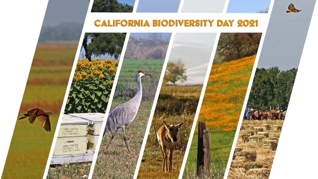 California Biodiversity Day a Time to Recognize State’s Extraordinary Natural Environment
