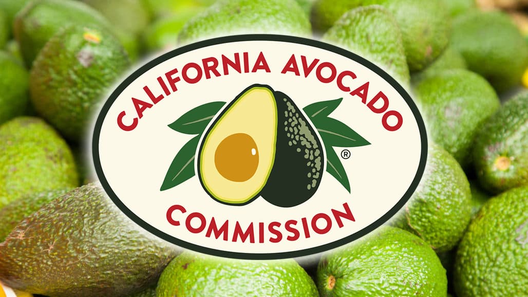 California Avocado Growers Encouraged To Vote In CAC General Election