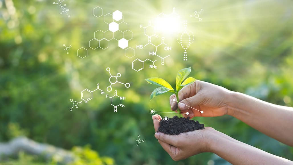 Scientists can Switch on Plants’ Response to Light