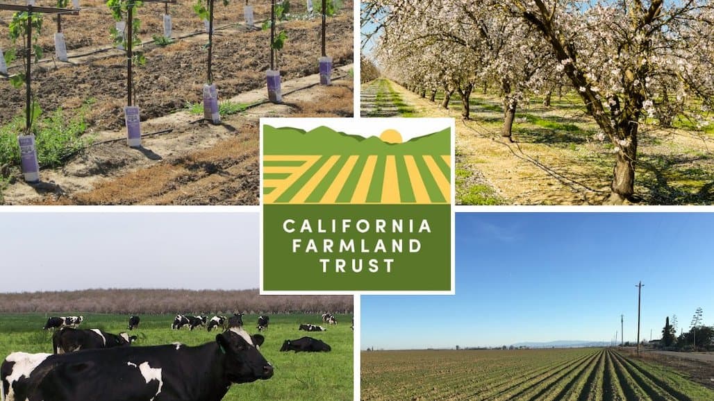 California Farmland Trust Benefits from Round Seven SALC Funding Awards