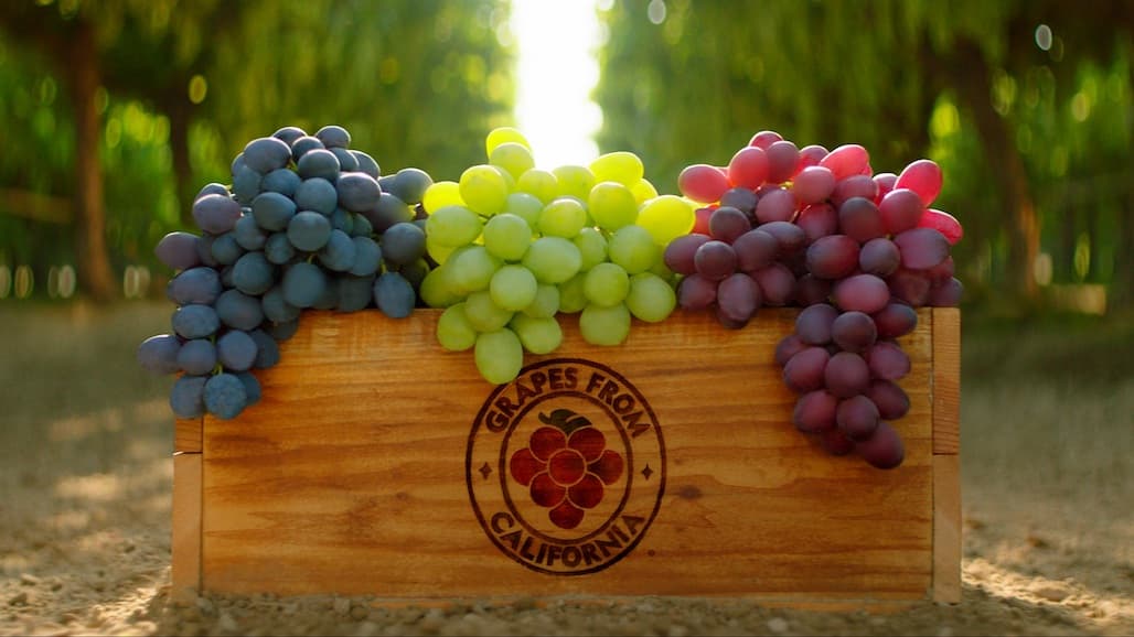 Promotable California Table Grape Volume Continues Through December