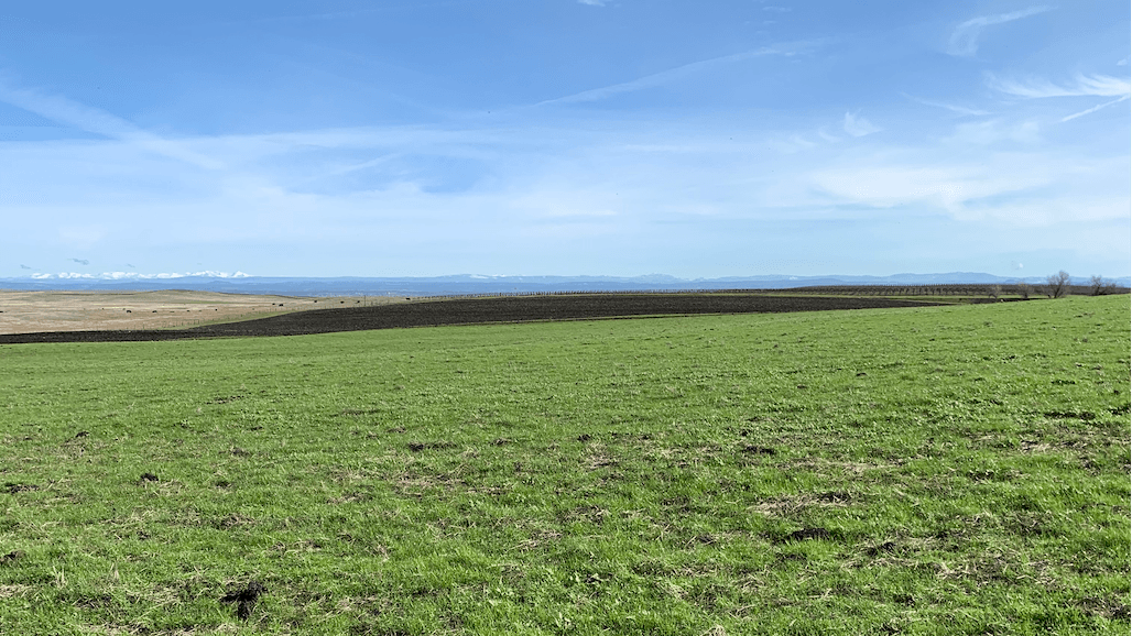 Getting a Solid Soil Response to Biosolids Application in Ag