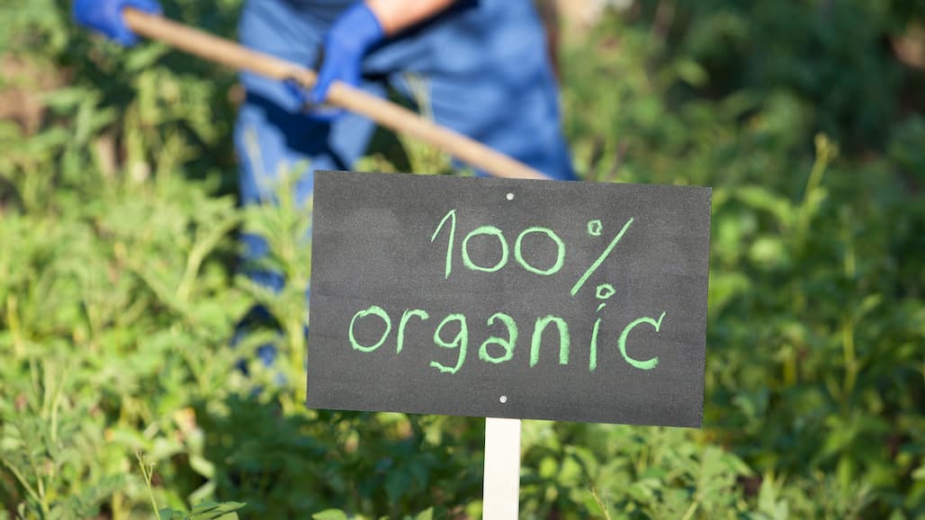 Organic Certifiers Recognized for Data Partnership and Collaboration