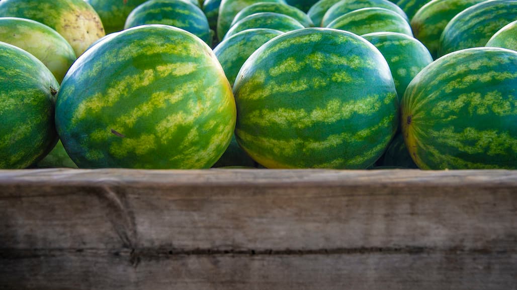 National Watermelon Promotion Board Seeks Directors