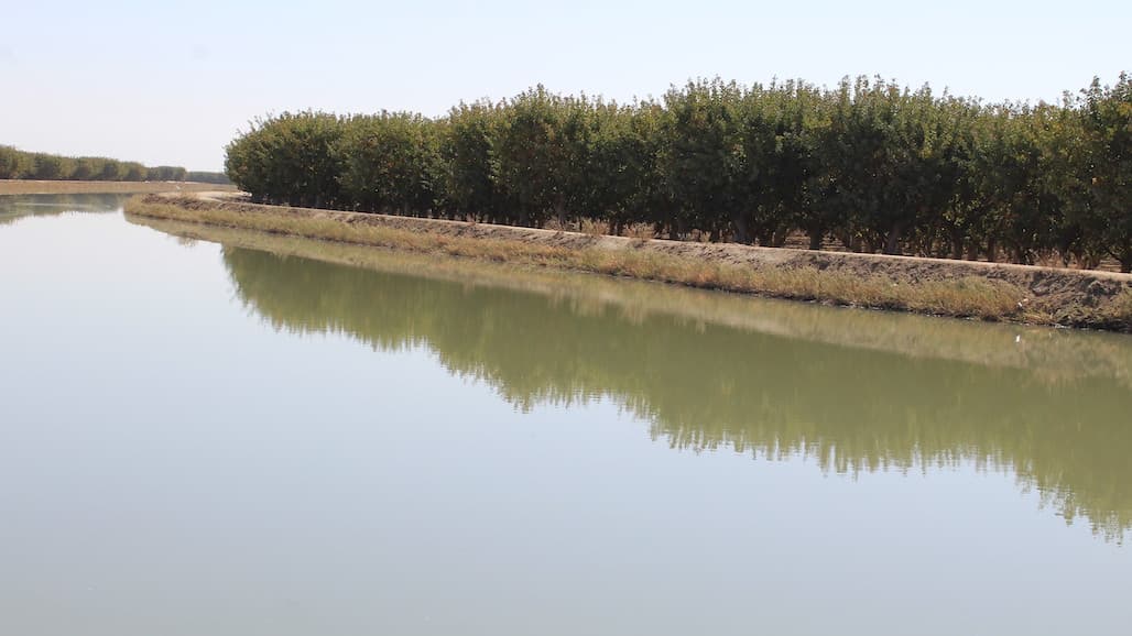 EPA Fines SJV Almond Grower for Clean Water Act Violations, Orders Restoration of Wetlands