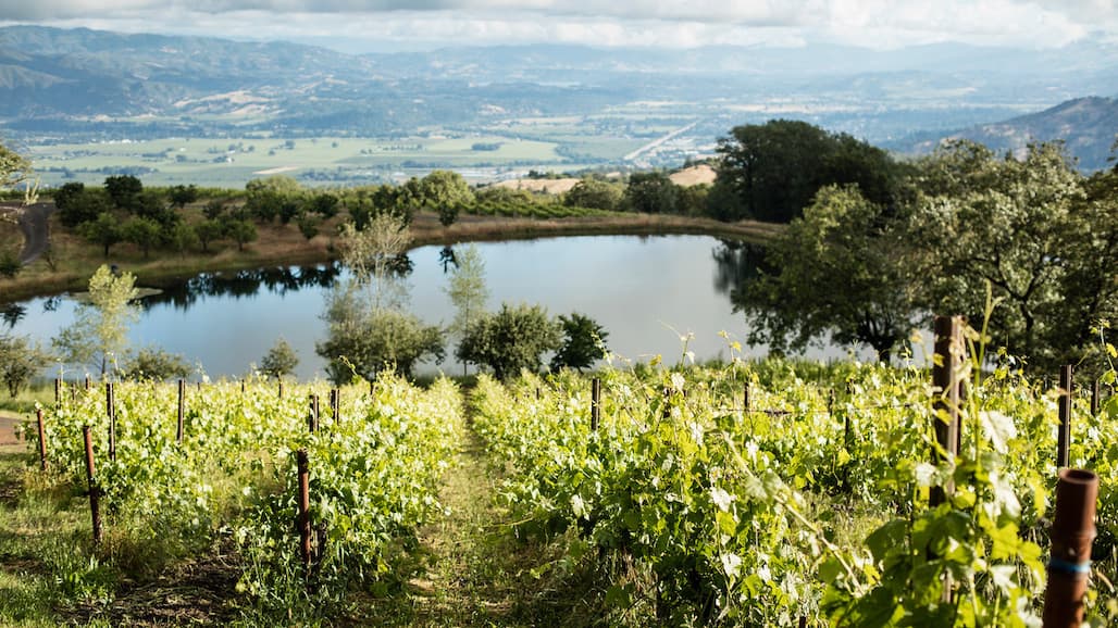 Deadline Extended to Apply for Partnerships for Climate-Smart Commodities Funding