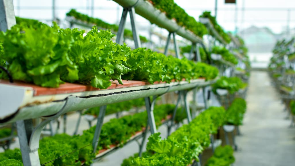 New Federal Advisory Committee for Urban Agriculture to Meet March 23-24 