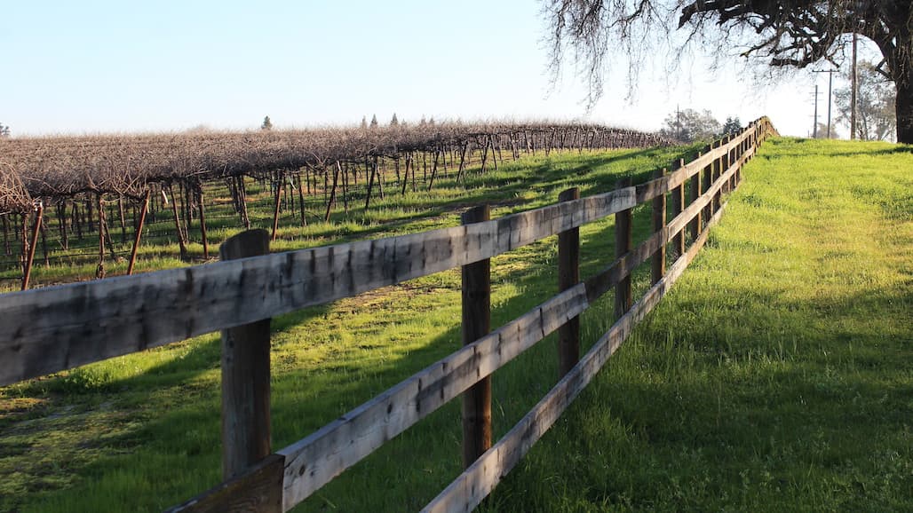 APHIS Celebrates 50 Years of Protecting American Agriculture