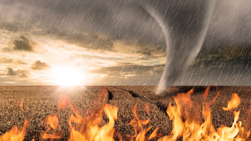 $6 Billion on its Way to Commodity & Specialty Crop Producers Impacted by 2020, 2021 Natural Disasters