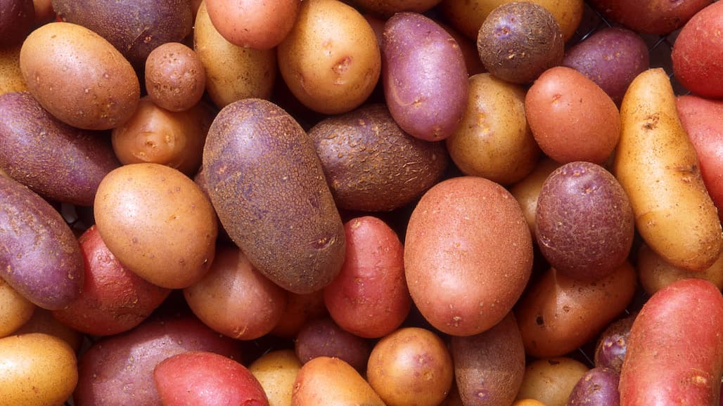 U.S. Fresh Potatoes Begin Export To Mexico